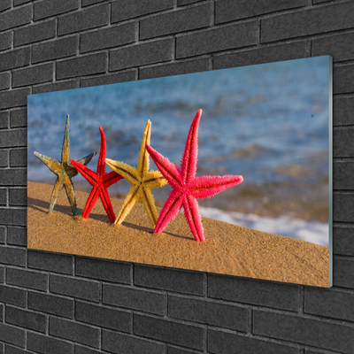 Obraz Akrylowy Plaża Rozgwiazda Sztuka