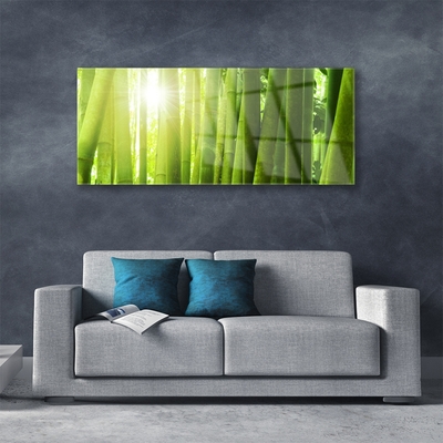 Obraz Akrylowy Bambus Roślina