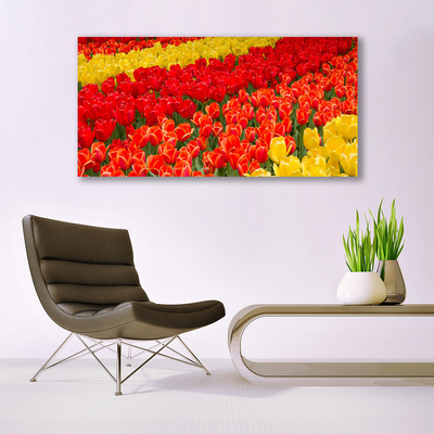 Obraz Akrylowy Tulipany Kwiaty