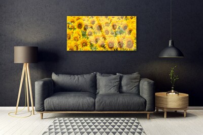 Obraz Akrylowy Słonecznik Roślina Przyroda