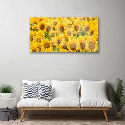 Obraz Akrylowy Słonecznik Roślina Przyroda