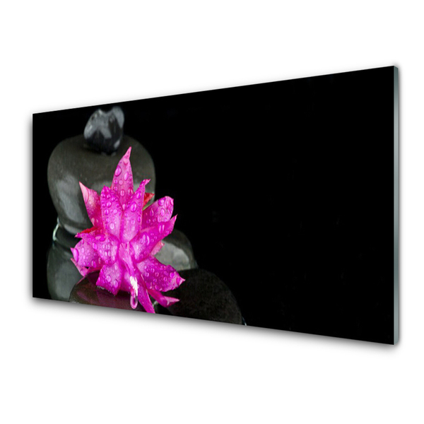 Obraz Akrylowy Kwiat Kamienie Czarny