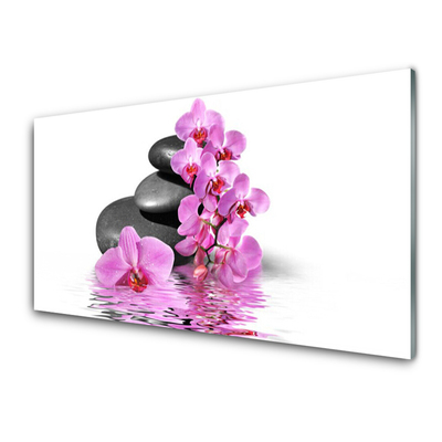 Obraz Akrylowy Piękny Kwiat Kamienie