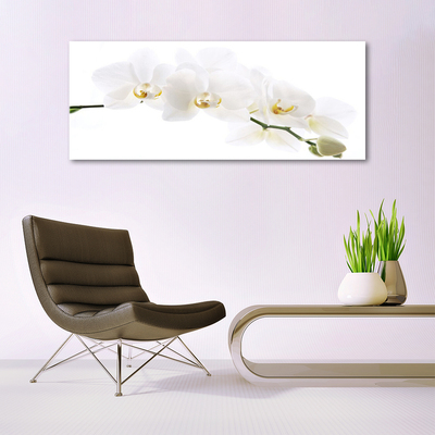 Obraz Akrylowy Kwiaty Orchidea