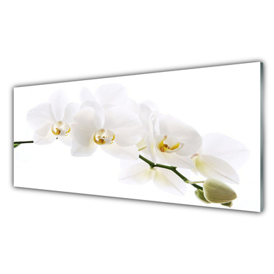 Obraz Akrylowy Kwiaty Orchidea