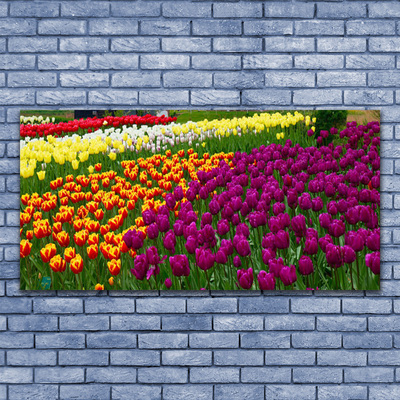 Obraz Akrylowy Tulipany Kwiaty