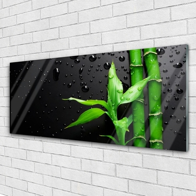 Obraz Akrylowy Bambus Liście Roślina