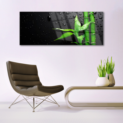 Obraz Akrylowy Bambus Liście Roślina