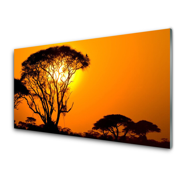 Obraz Akrylowy Drzewa Słońce Natura