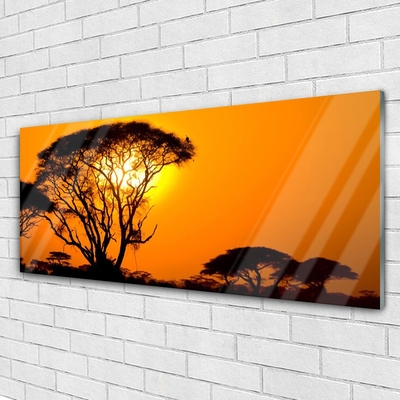 Obraz Akrylowy Drzewa Słońce Natura