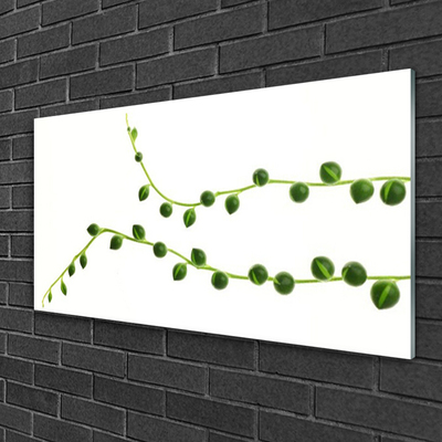 Obraz Akrylowy Ozdobna Roślina