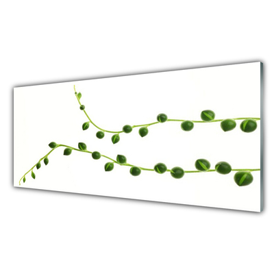 Obraz Akrylowy Ozdobna Roślina