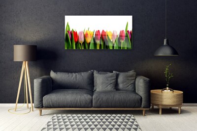 Obraz Akrylowy Tulipany Roślina