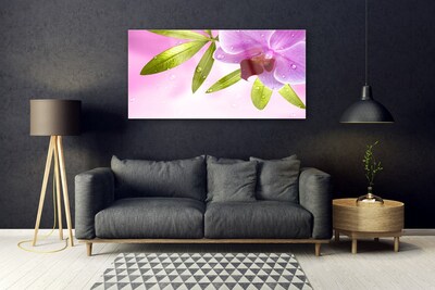 Obraz Akrylowy Kwiat Liście Roślina