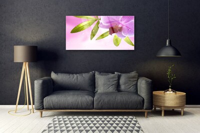 Obraz Akrylowy Kwiat Liście Roślina