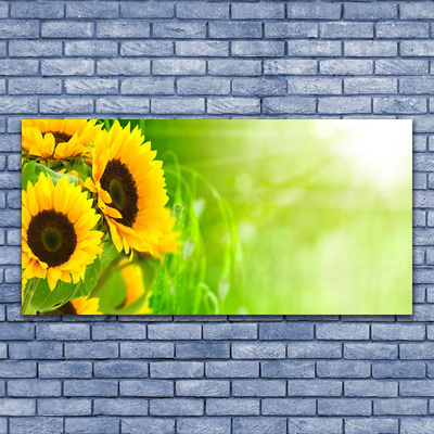 Obraz Akrylowy Słoneczniki Roślina