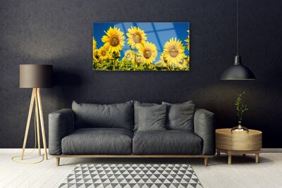 Obraz Akrylowy Słoneczniki Roślina