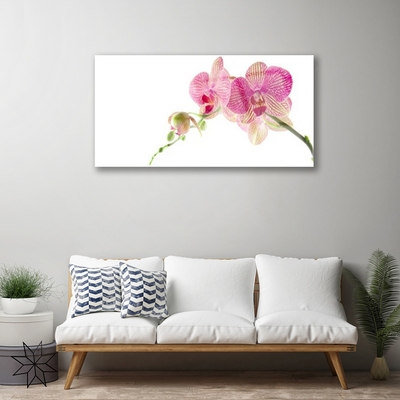 Obraz Akrylowy Kwiaty Roślina