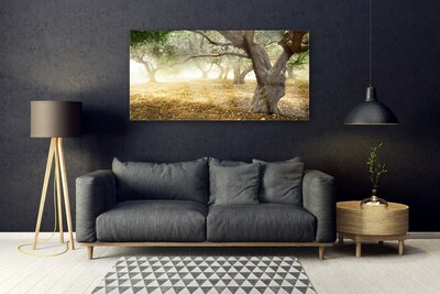 Obraz Akrylowy Drzewo Trawa Natura