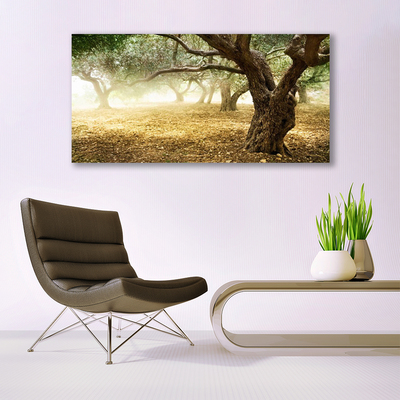 Obraz Akrylowy Drzewo Trawa Natura