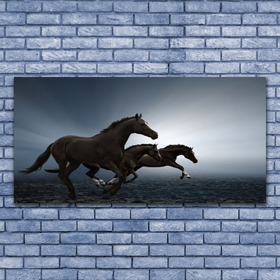 Obraz Akrylowy Konie Zwierzęta