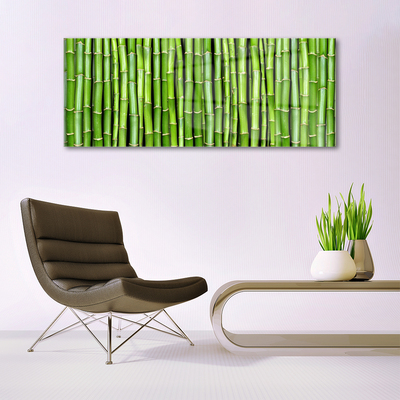Obraz Akrylowy Bambus Kwiat Roślina