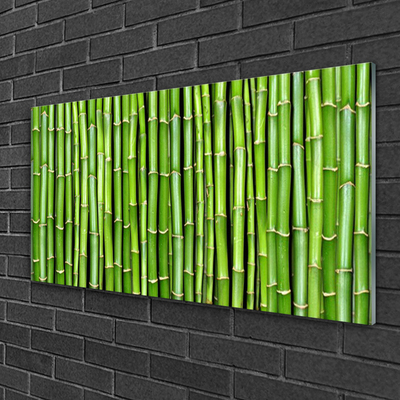 Obraz Akrylowy Bambus Kwiat Roślina
