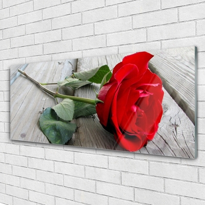 Obraz Akrylowy Róże Kwiaty