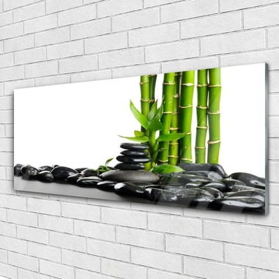 Obraz Akrylowy Bambus Piękna Grafika