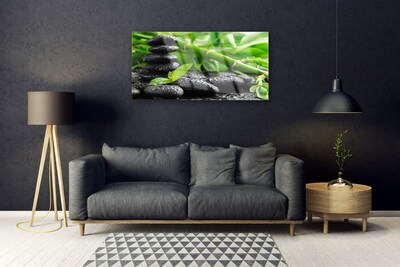 Obraz Akrylowy Bambus Pędy Roślina