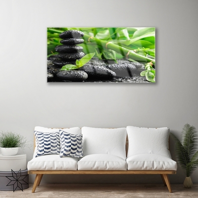 Obraz Akrylowy Bambus Pędy Roślina