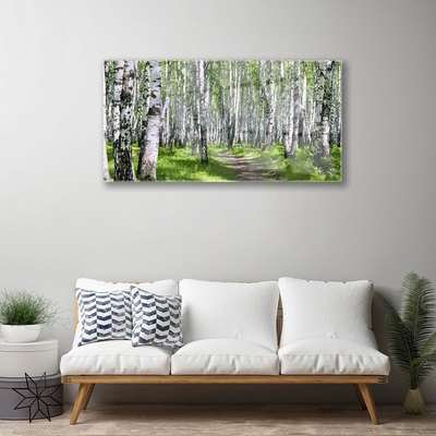 Obraz Akrylowy Las Ścieżka Natura Drzewa