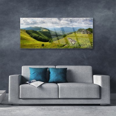 Obraz Akrylowy Góra Łąka Krajobraz