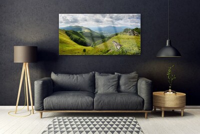 Obraz Akrylowy Góra Łąka Krajobraz