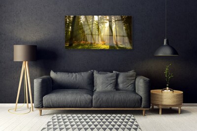 Obraz Akrylowy Las Natura Drzewa