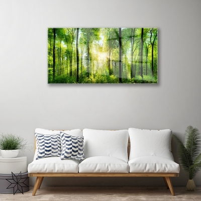 Obraz Akrylowy Las Natura Drzewa