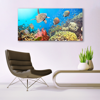 Obraz Akrylowy Rafa Koralowa Krajobraz