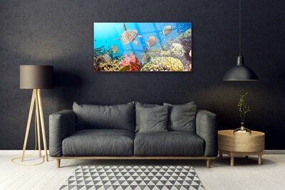 Obraz Akrylowy Rafa Koralowa Krajobraz