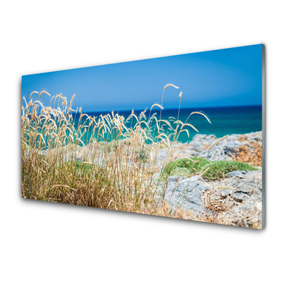 Obraz Akrylowy Plaża Krajobraz