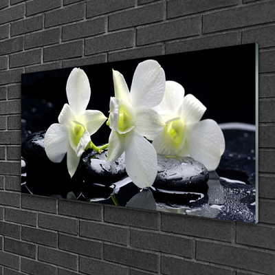 Obraz Akrylowy Kwiat Storczyk Biały
