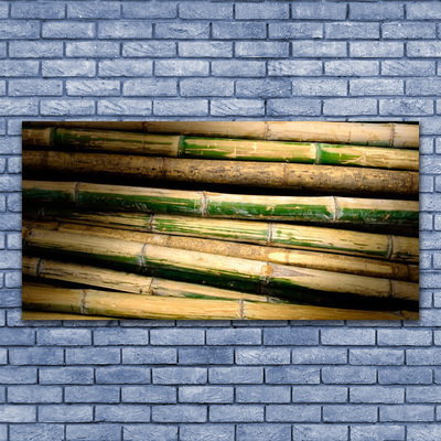 Obraz Akrylowy Bambus Roślina Natura