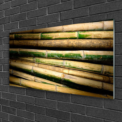 Obraz Akrylowy Bambus Roślina Natura