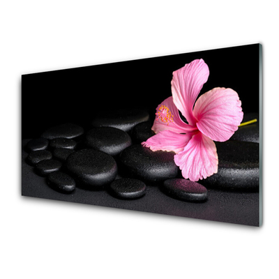 Obraz Akrylowy Czarny Kamienie Kwiat