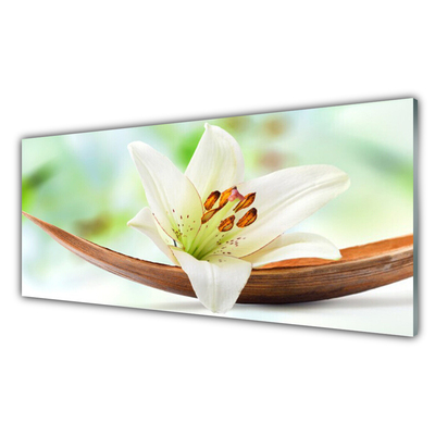 Obraz Akrylowy Kwiat Roślina Natura
