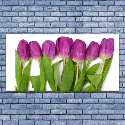 Obraz Akrylowy Tulipany Kwiaty Roślina