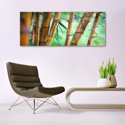 Obraz Akrylowy Bambus Natura Roślina