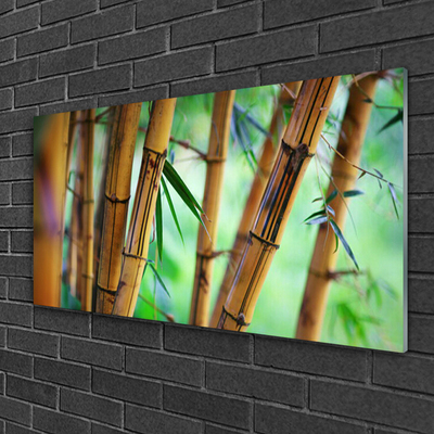 Obraz Akrylowy Bambus Natura Roślina