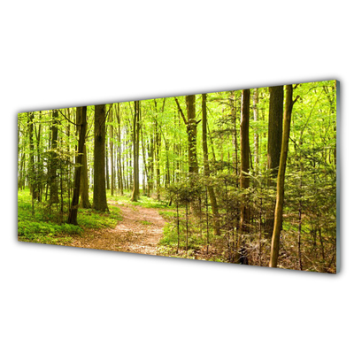 Obraz Akrylowy Las Ścieżka Natura