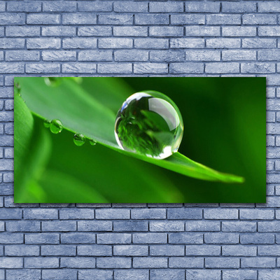 Obraz Akrylowy Liść Woda Krople Roślina