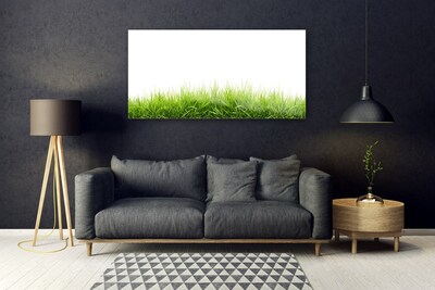 Obraz Akrylowy Trawa Natura Roślina